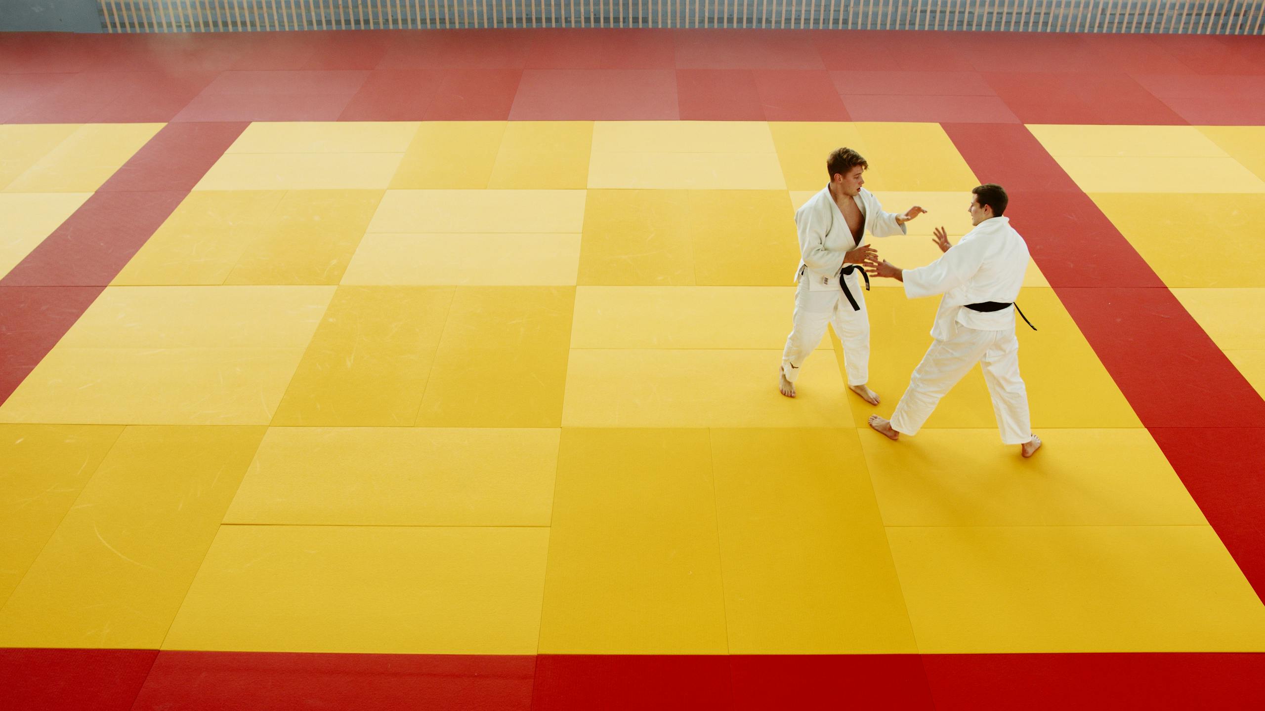 bjj-injuries